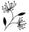 Floral Market logo