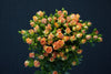 Rose Spray - China