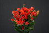 Rose Spray - China