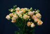 Rose Spray - China